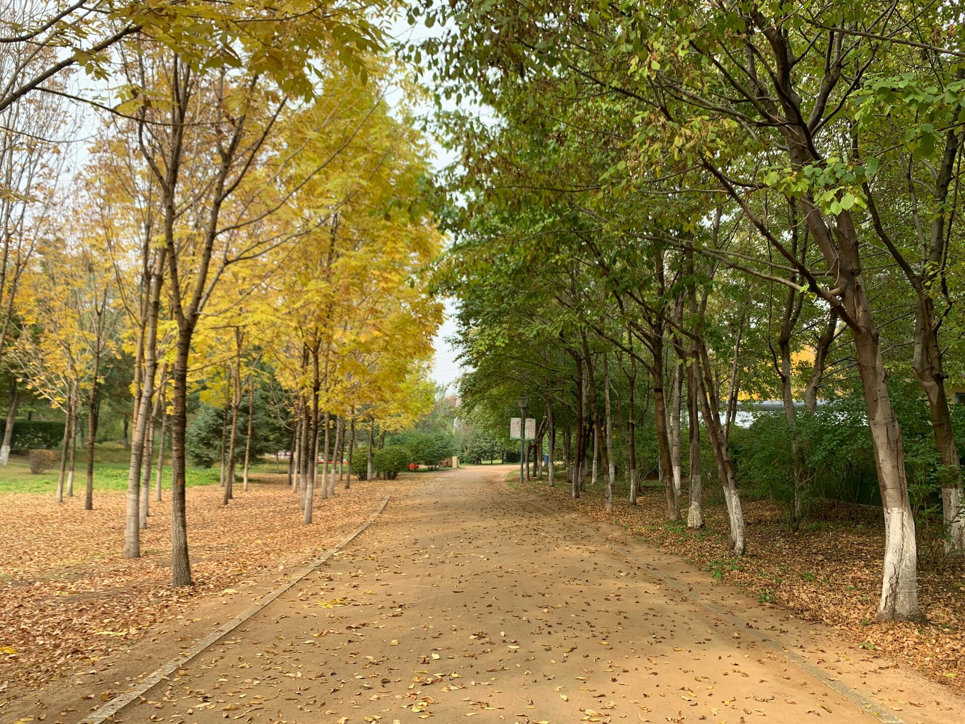 长春森林植物园图片