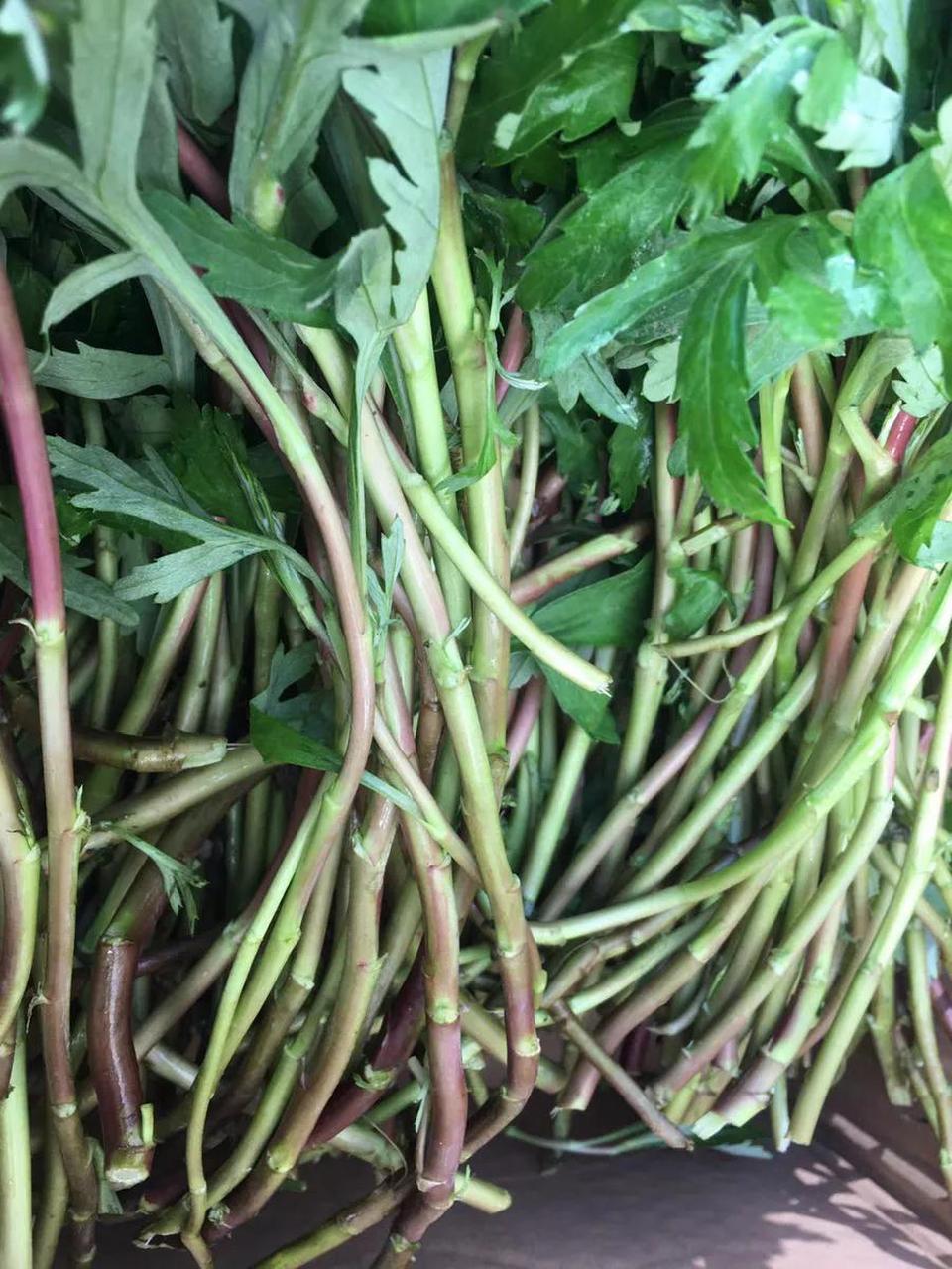南京卖芦蒿的摊位都要把叶子摘干净,忙不过来了才会带着叶子售卖,顾客