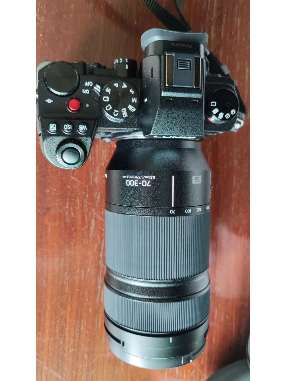 松下70-300镜头试拍 6.