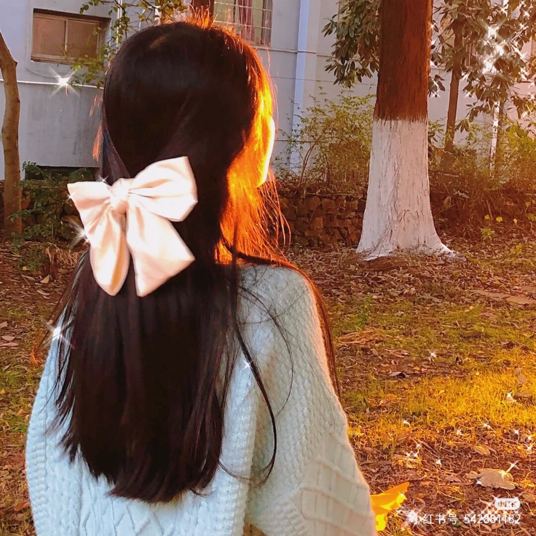 女生头像背影蝴蝶结