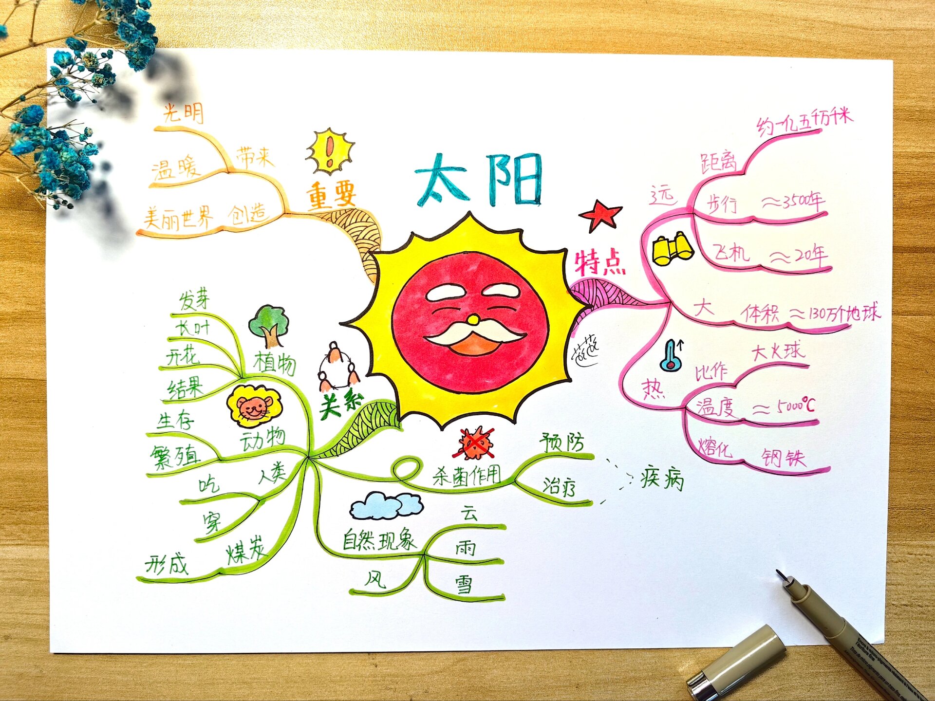 思维导图|阅读五年级课文《太阳》
