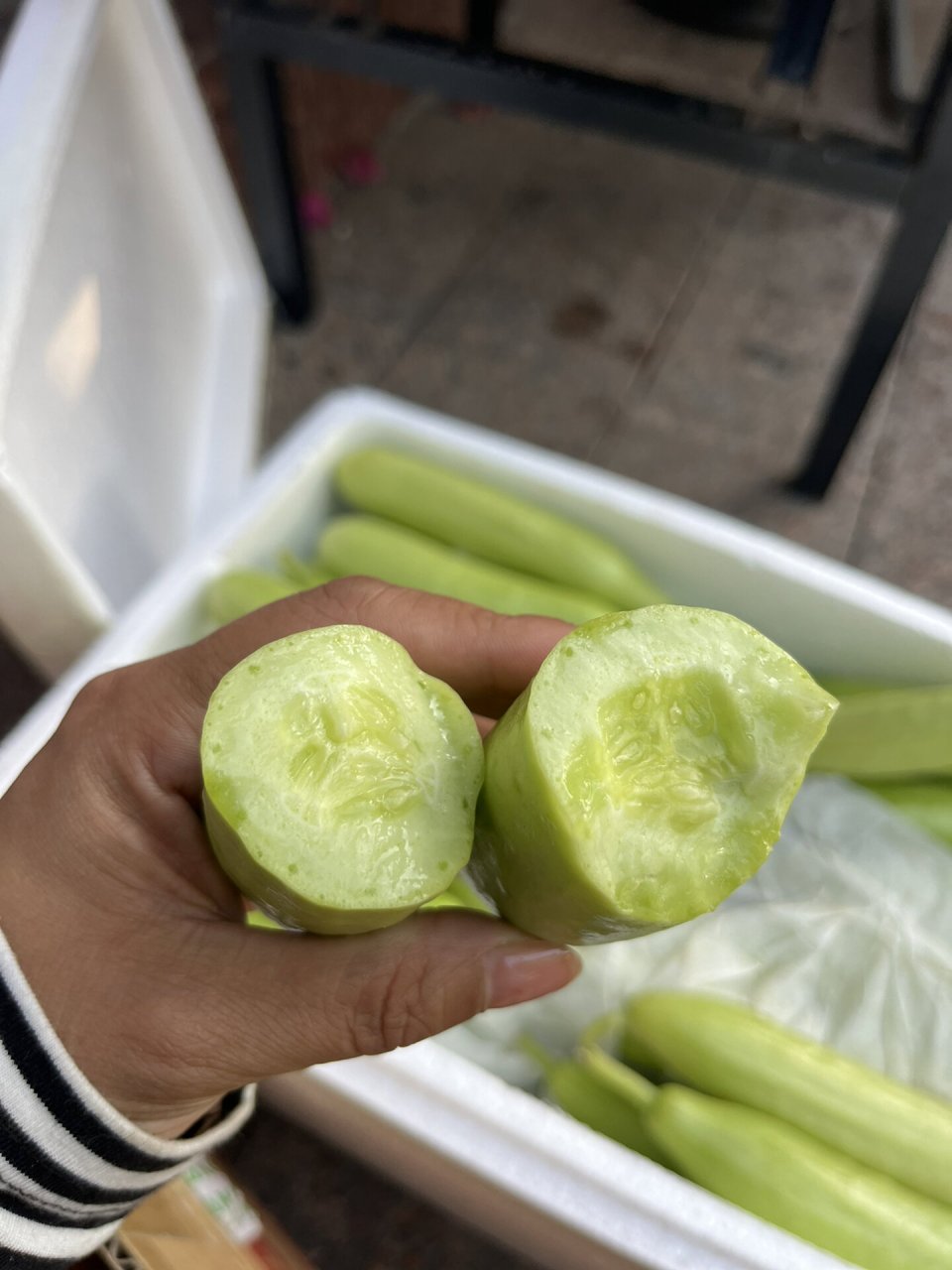 变异的黄瓜之奶油黄瓜06 奶油黄瓜没有没有味道,但是真的有淡淡的奶