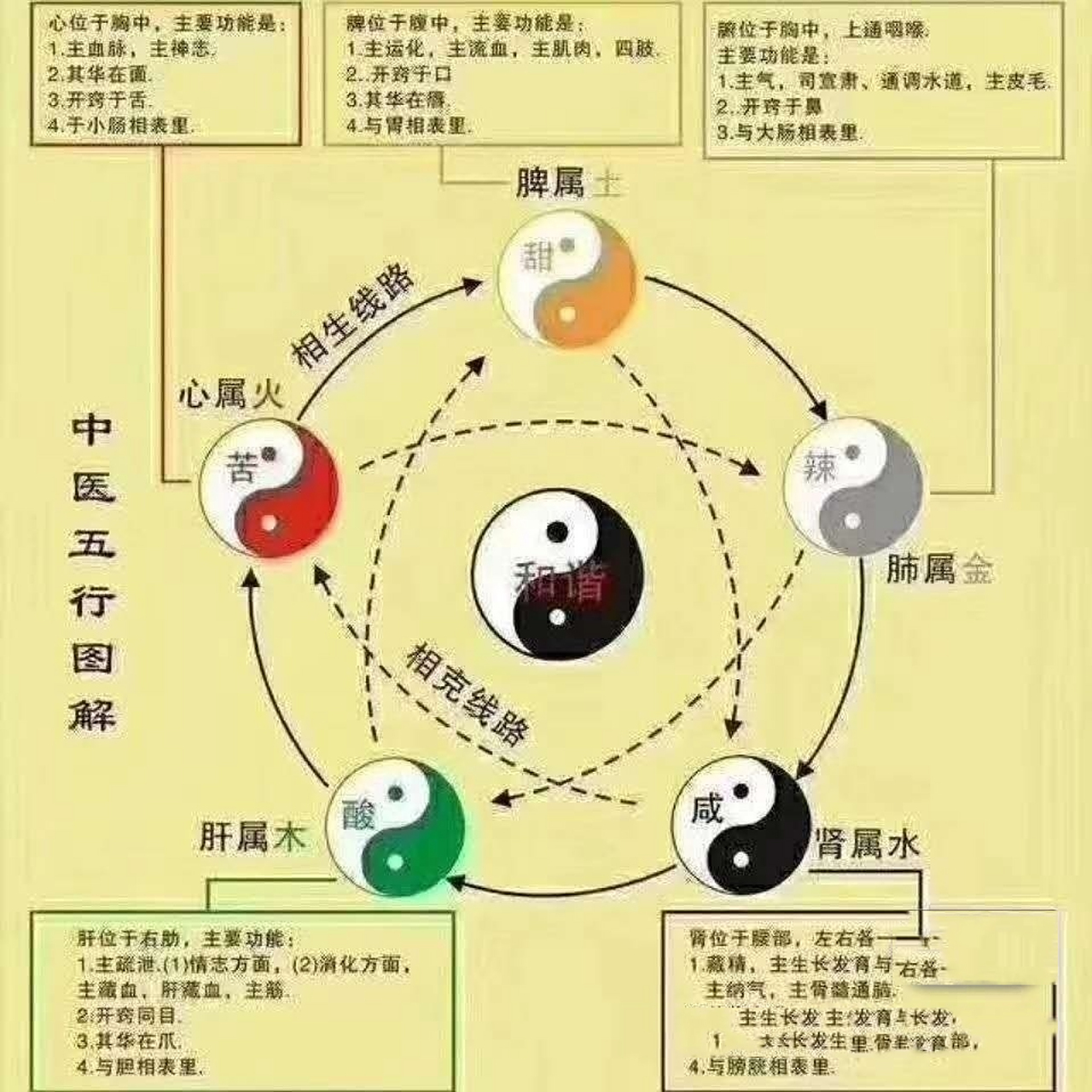 五行生肖运势特吉(2021生肖五行排码表)