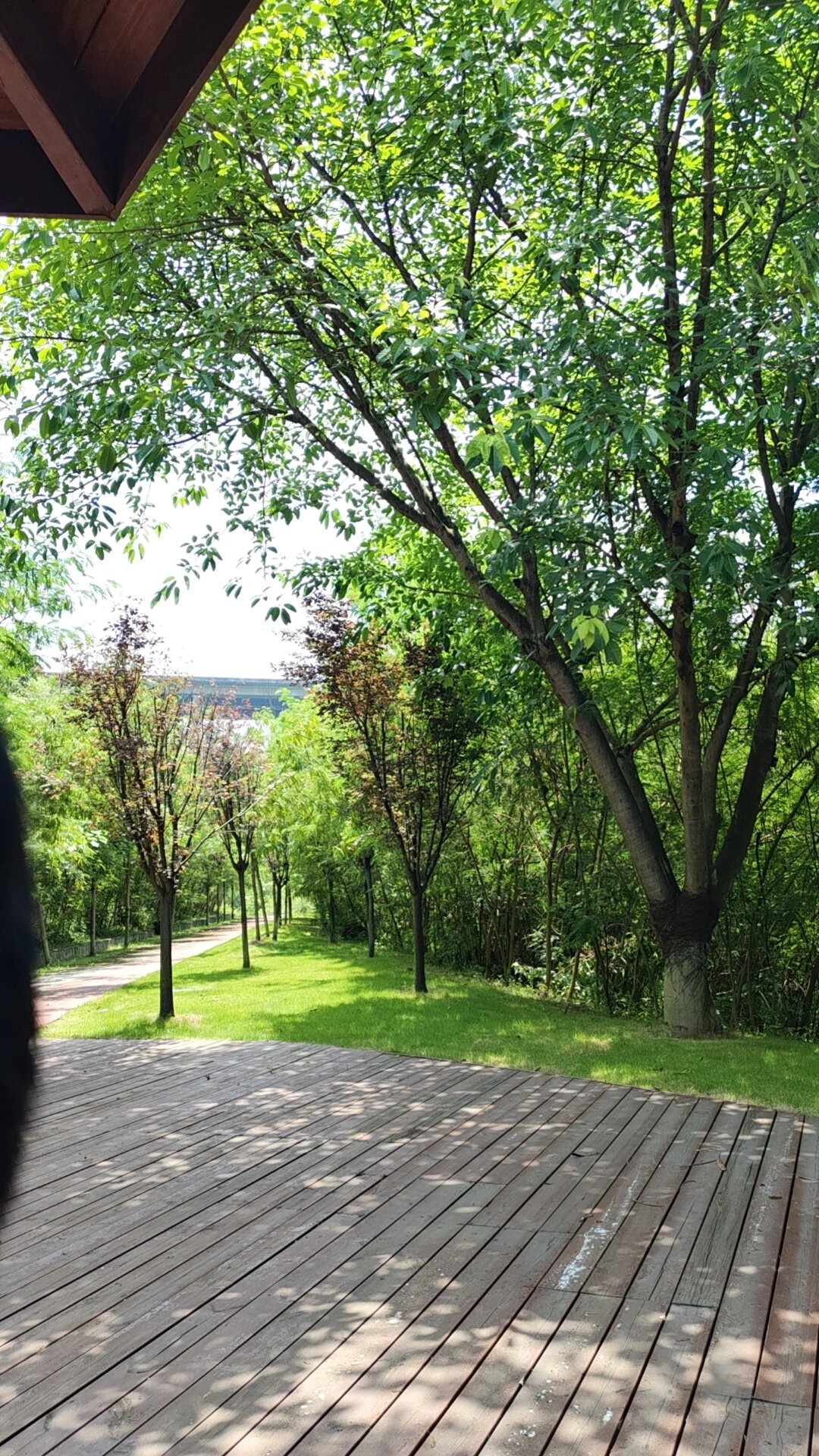 重庆悦来张家溪生态公园