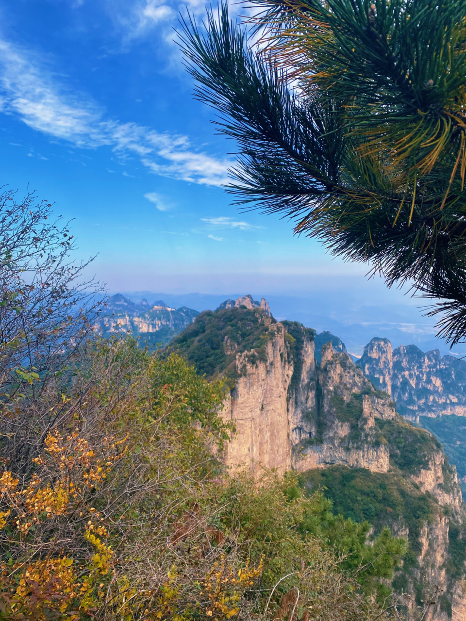 我的家乡|王莽岭7215 05景区简介 王莽岭景区位于山西省陵川县