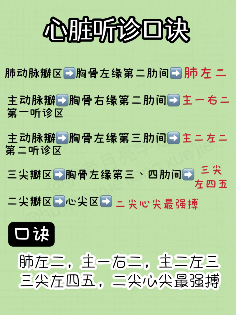 护考考点心脏听诊口诀 7815 月亮不睡我不睡 今