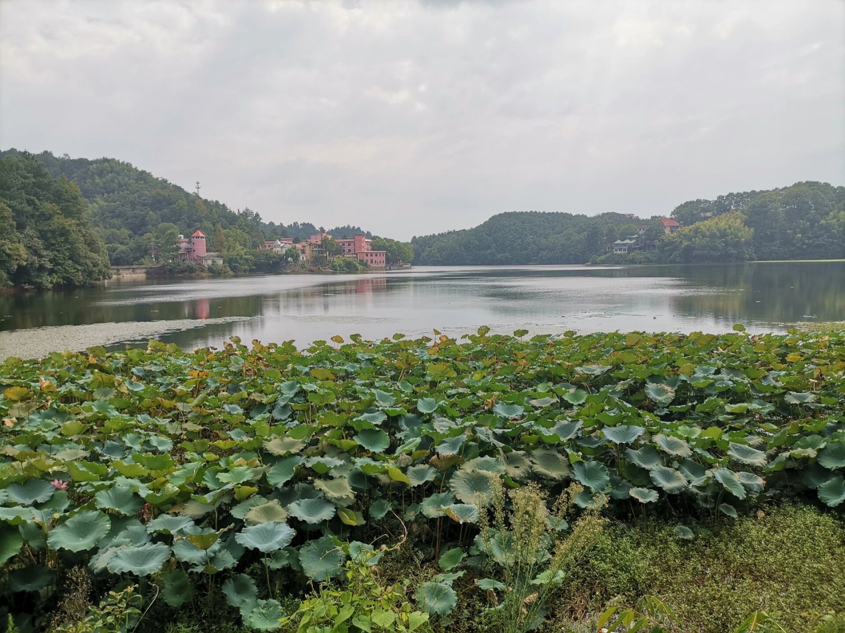 株洲大京水库图片