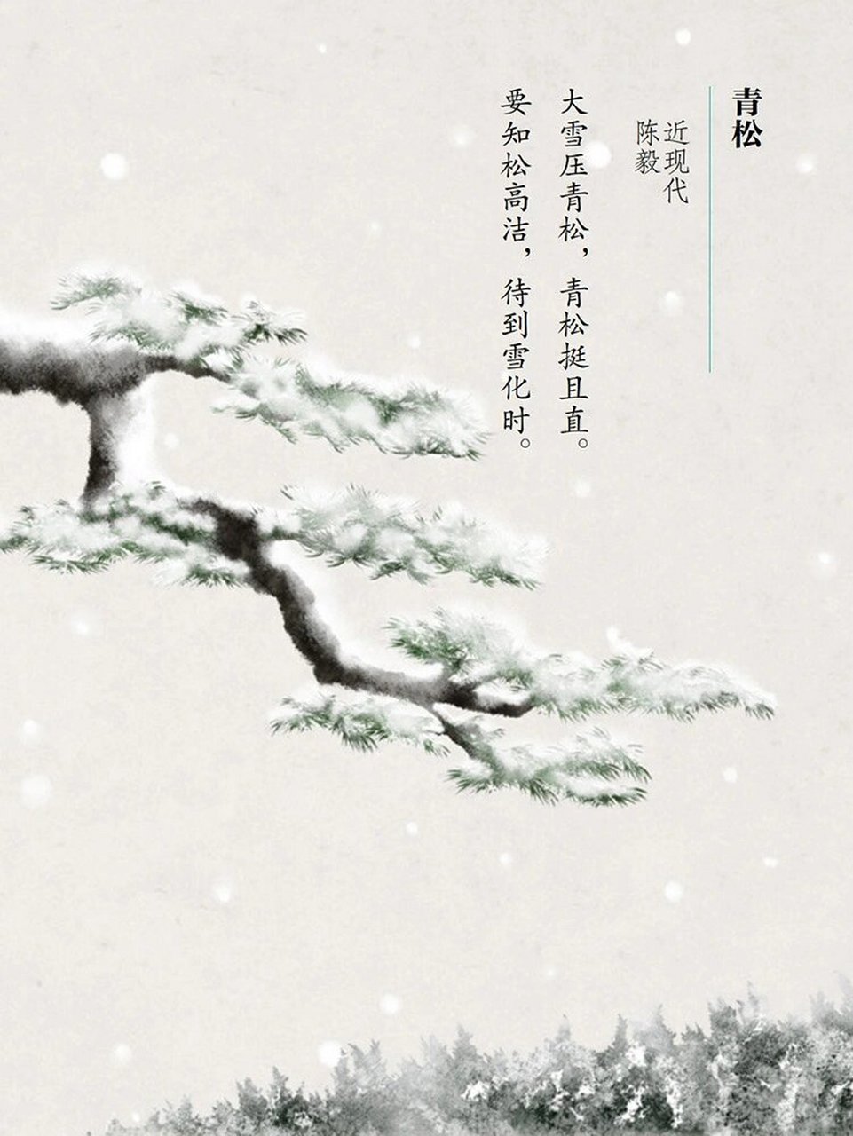 雪松的拼音图片