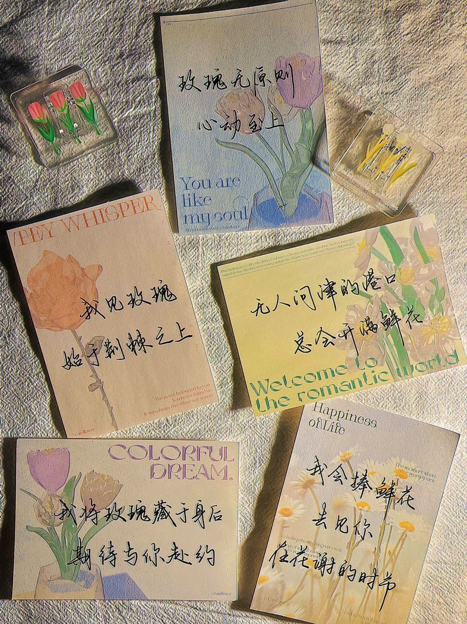 手写|一些关于玫瑰关于花的文案 今天的便签纸和文案搭吗 浪漫玫瑰谁