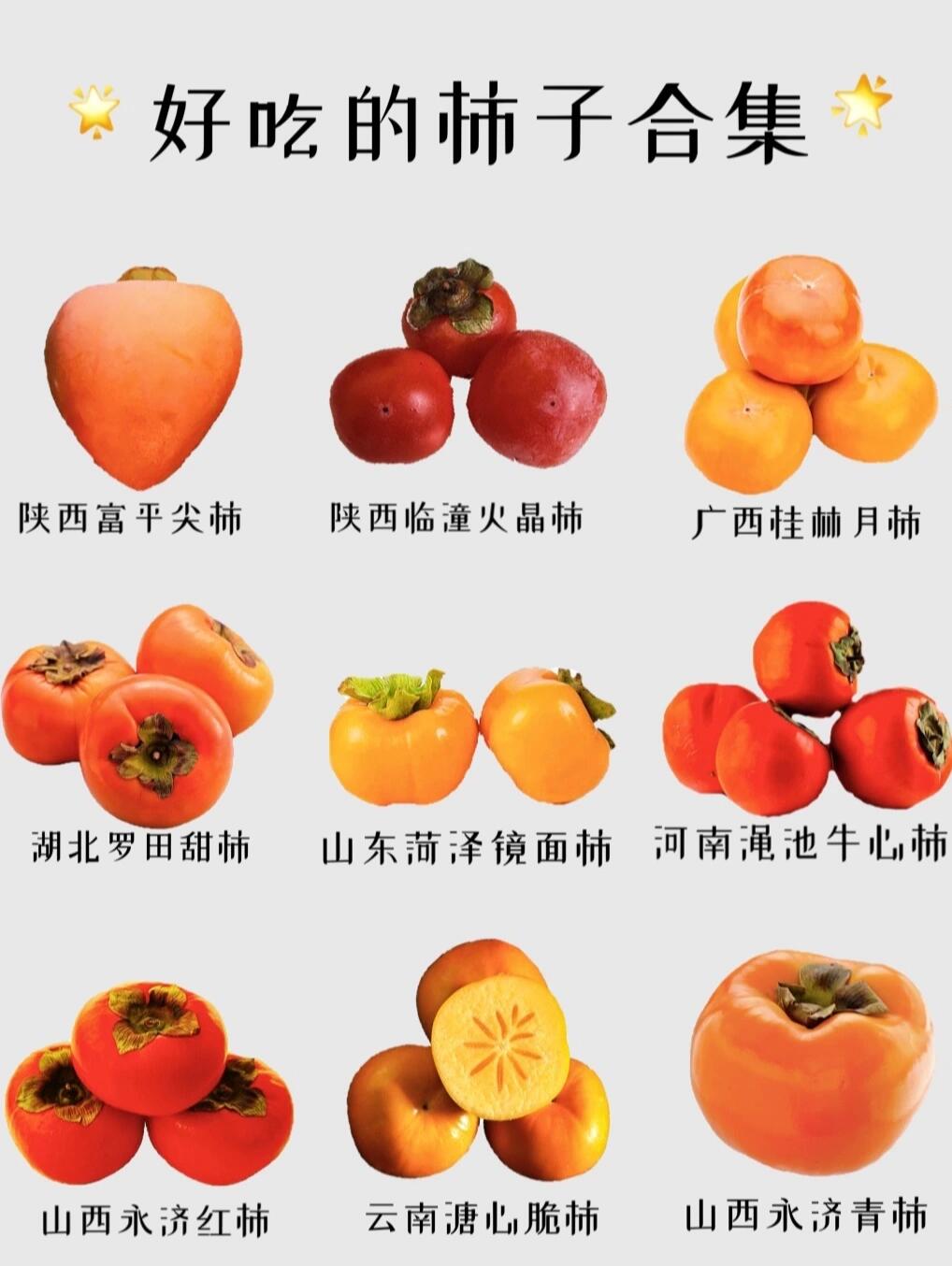 🙋🙋甜甜的软柿子产地合集!