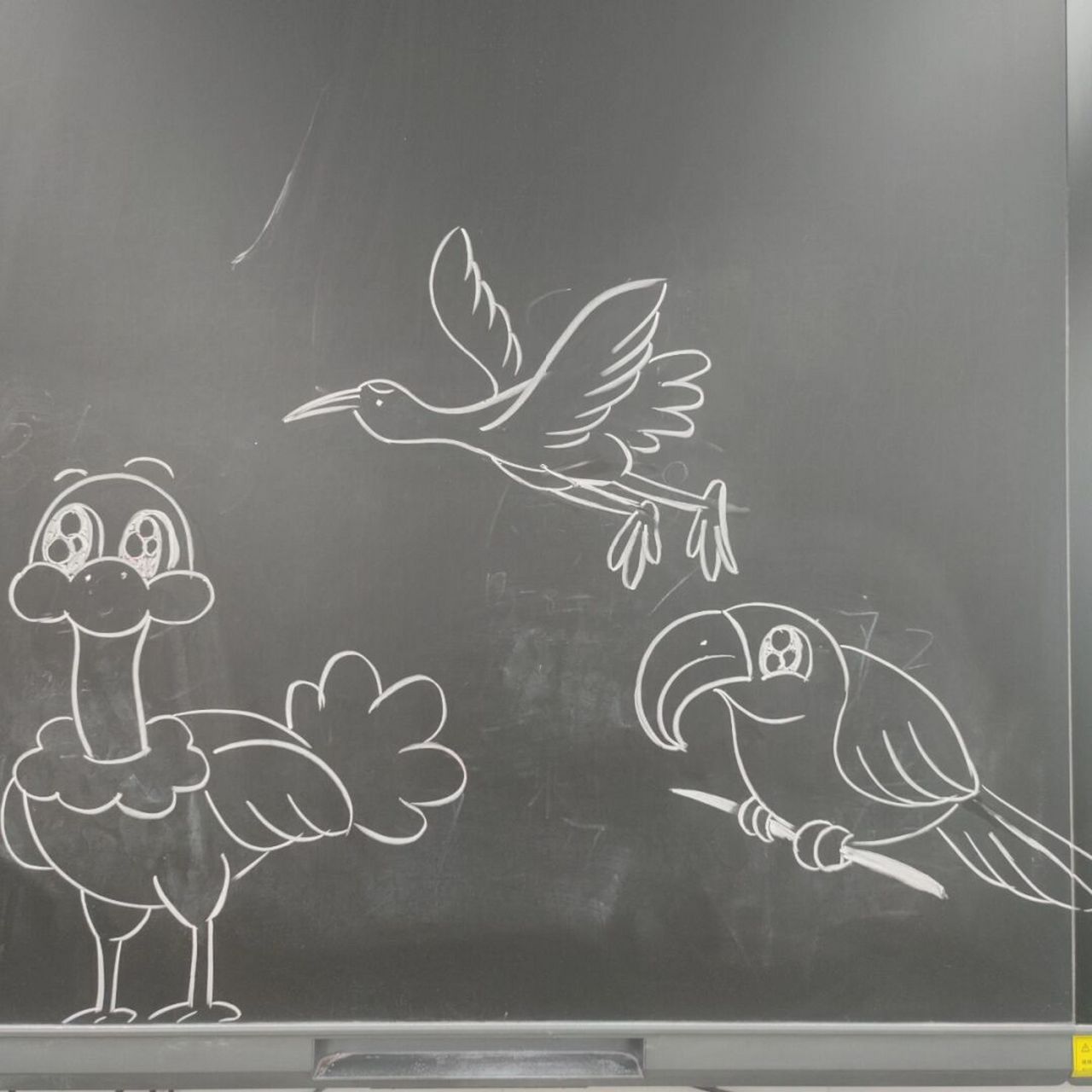 人美版小学美术课《我喜欢的鸟》粉笔画示范 #黑板画# #粉笔画# #简笔