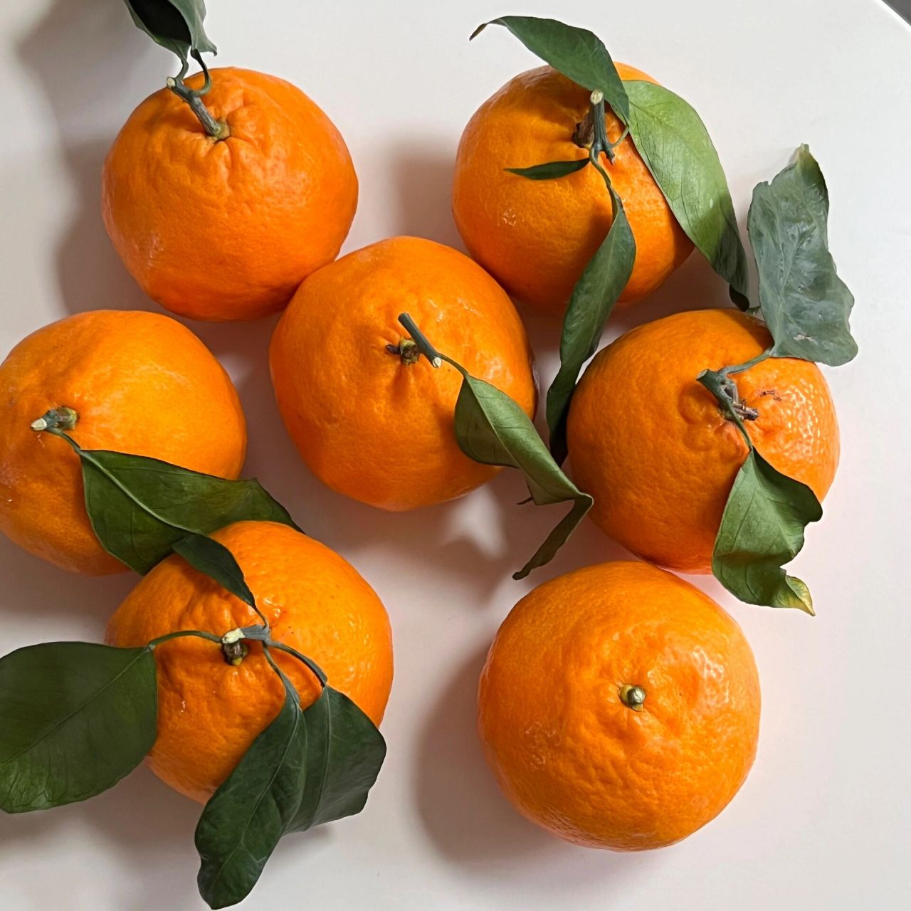 目前心中排前三的高端柑橘92 爱媛43,又名黄公主,相思醉美人.