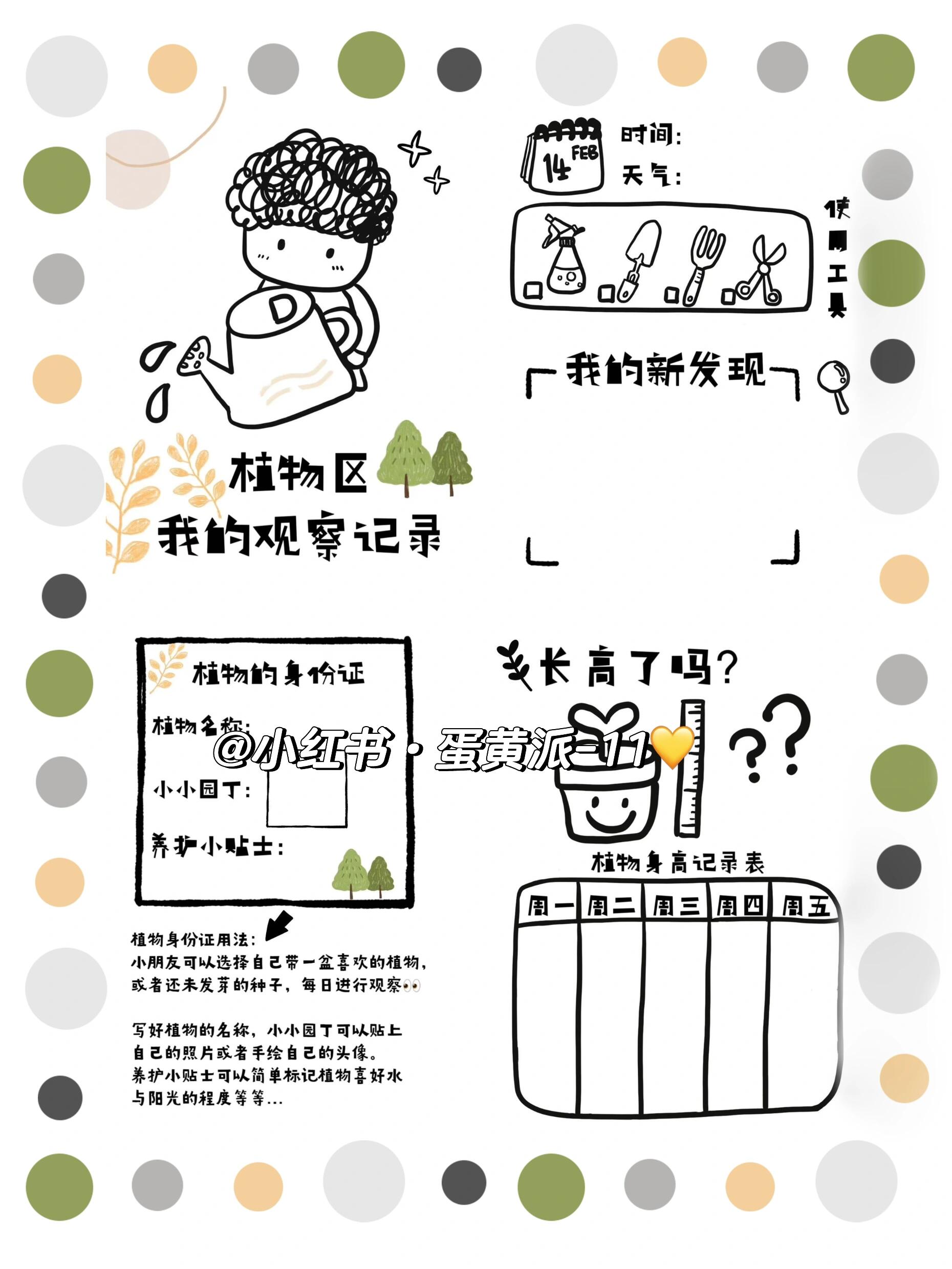 🌿幼儿园植物区·原创手绘记录表📝·爱了💚