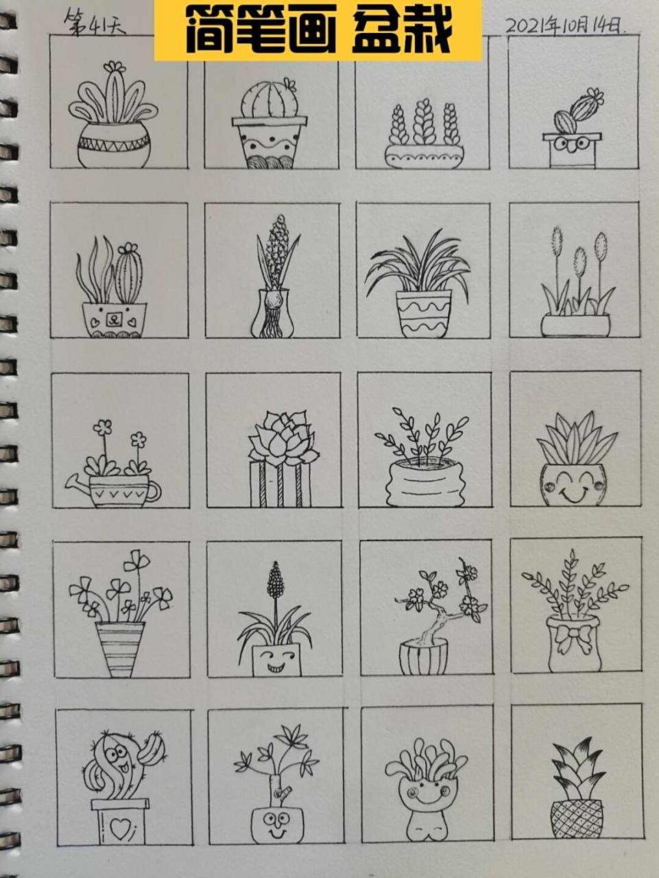 零基础学绘画/简笔画素材 可可爱爱小盆栽 7715绘画练习第41天