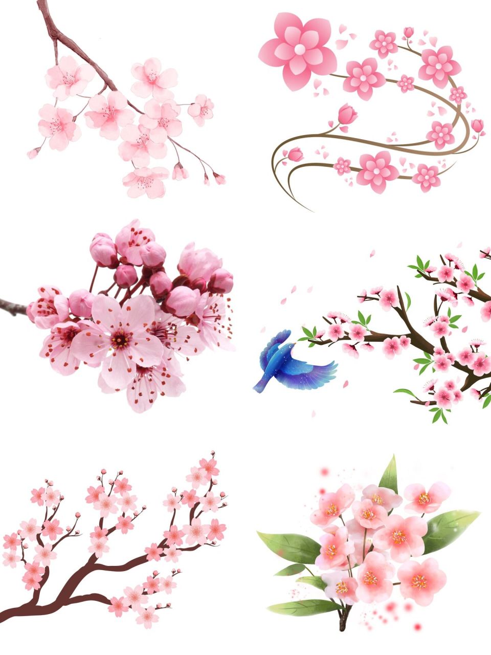 春天手绘樱花🌸免抠素材 🌱今日素材 	 🌈唯美日本樱花花朵花瓣