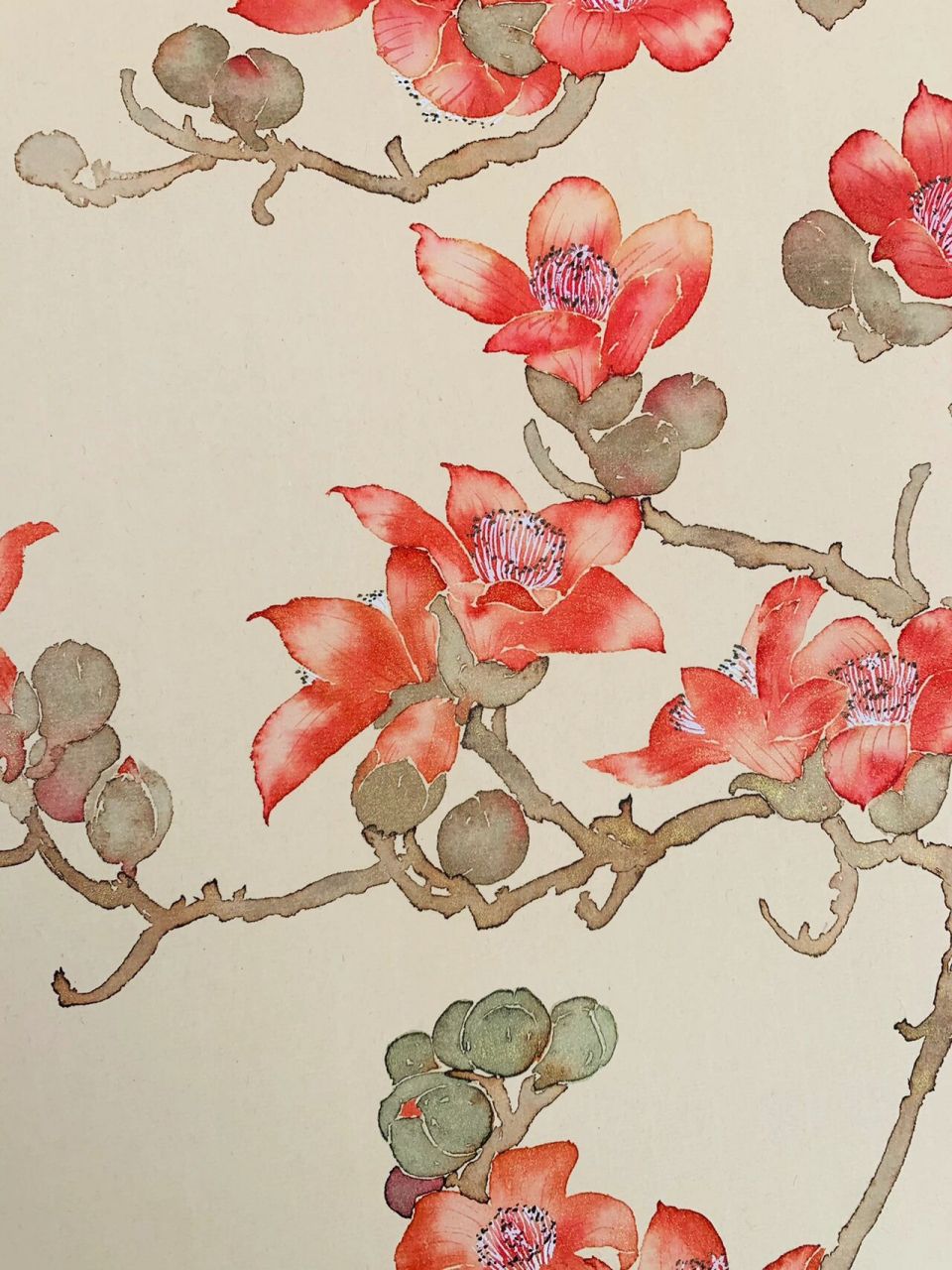 国画木棉花 没骨画法(含过程) 红棉春月竟相开,画一枝开得好的.