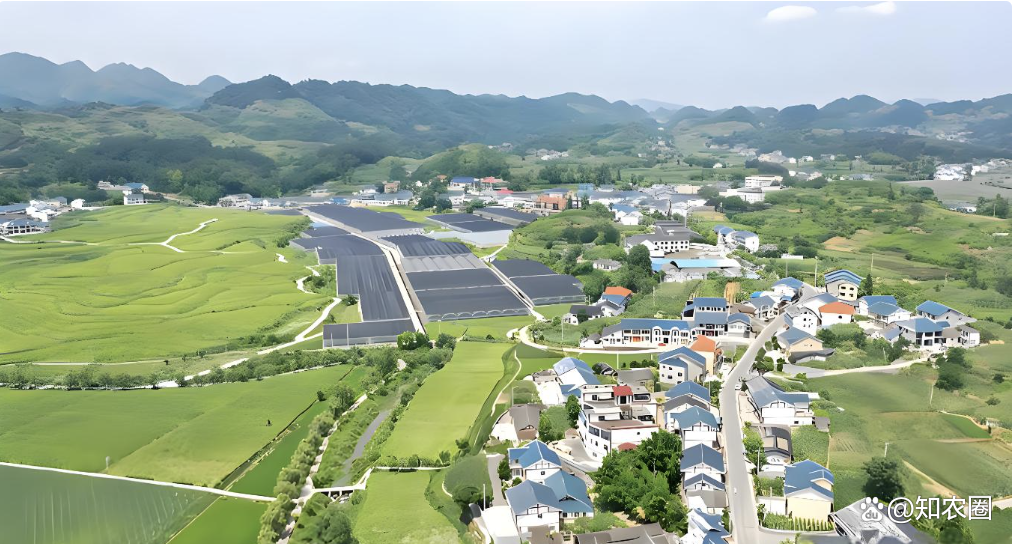 赣南腹地 的民生之 农业转型相关图片4