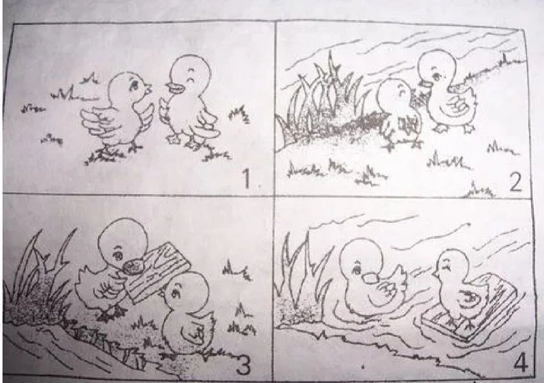 看图写话 聪明的小鸭 阳光明媚的一天,小鸡和小鸭约好一起去森林里