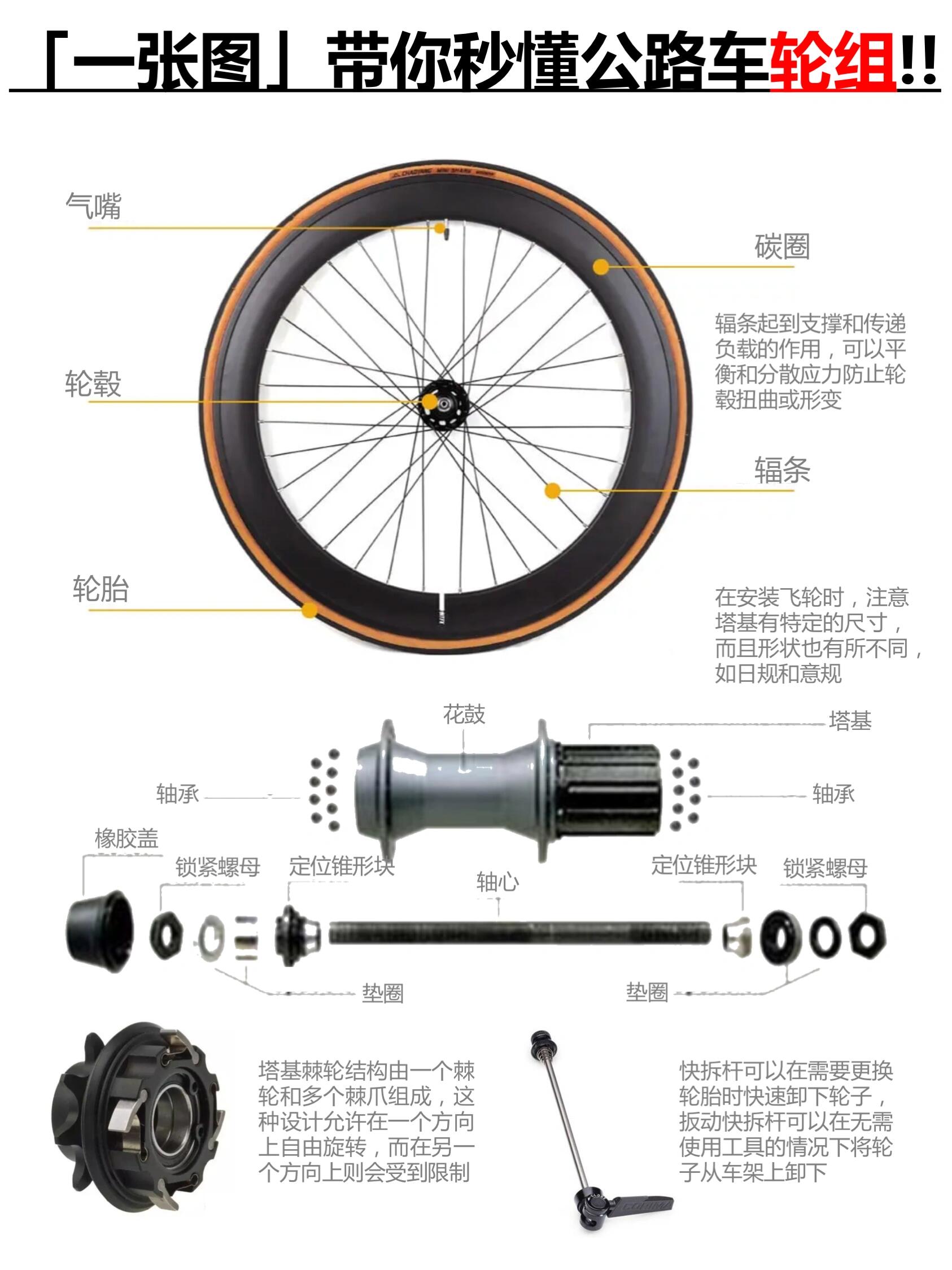 自行车飞轮的结构图片