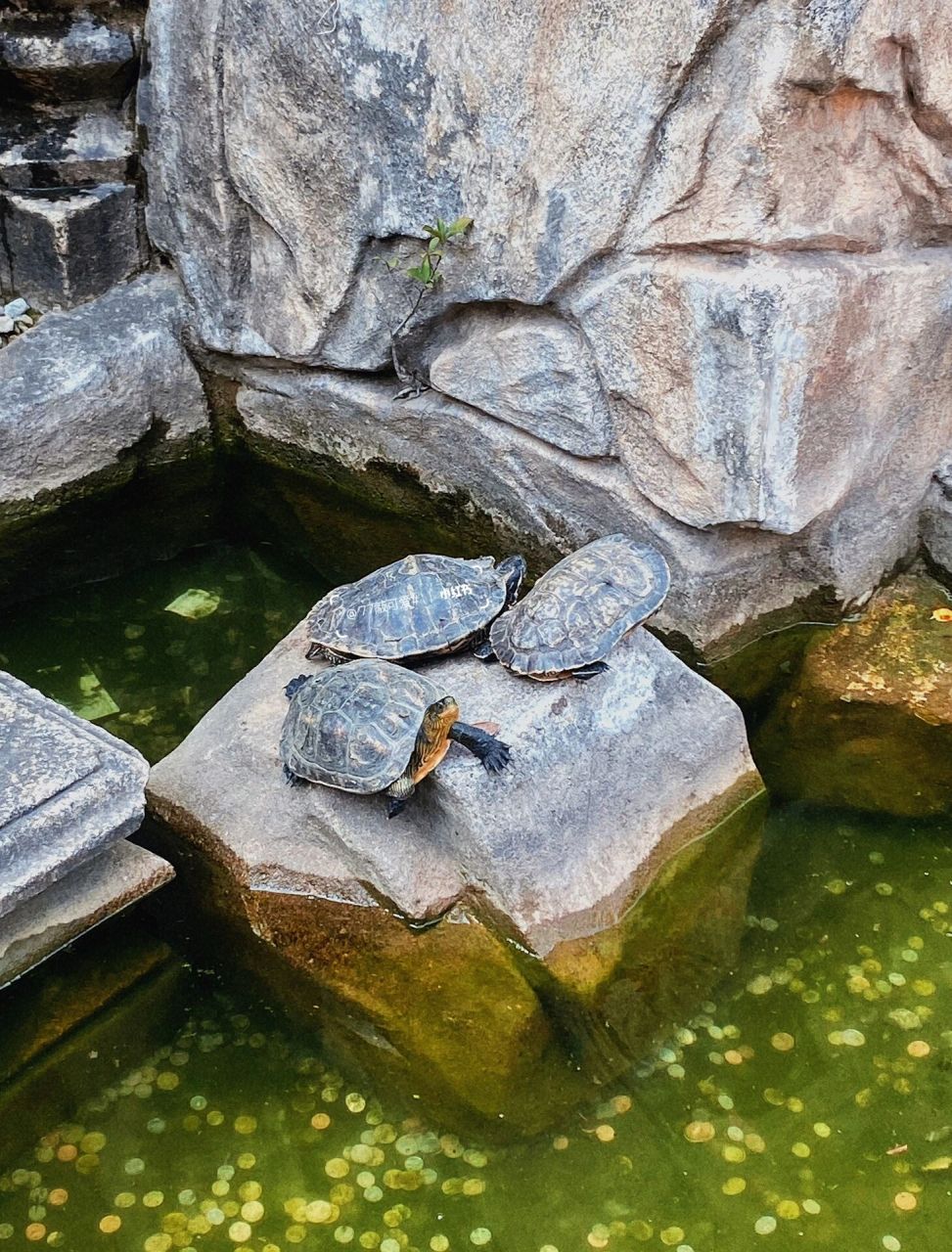 广州黄大仙祠|据说比较灵"有求必应" 简介:黄大仙 名黄初平.