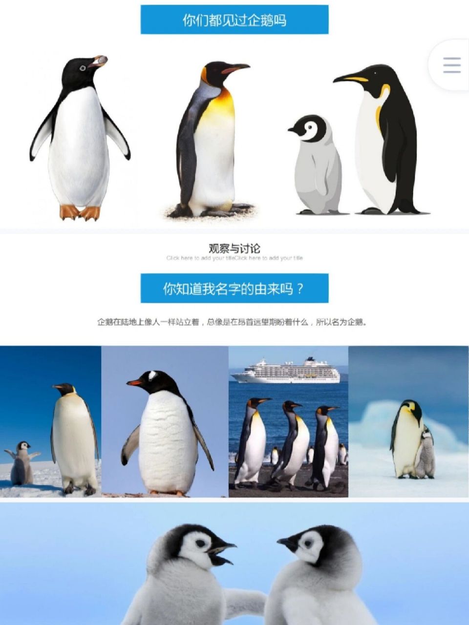 小企鹅爱吃鱼创意美术课件 小企鹅1,通过参考图片素材,描绘出企鹅可爱