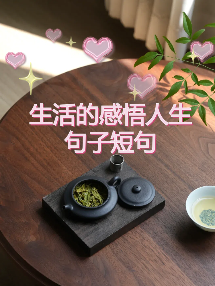 生活的感悟人生句子短句 在这个喧嚣的世界里