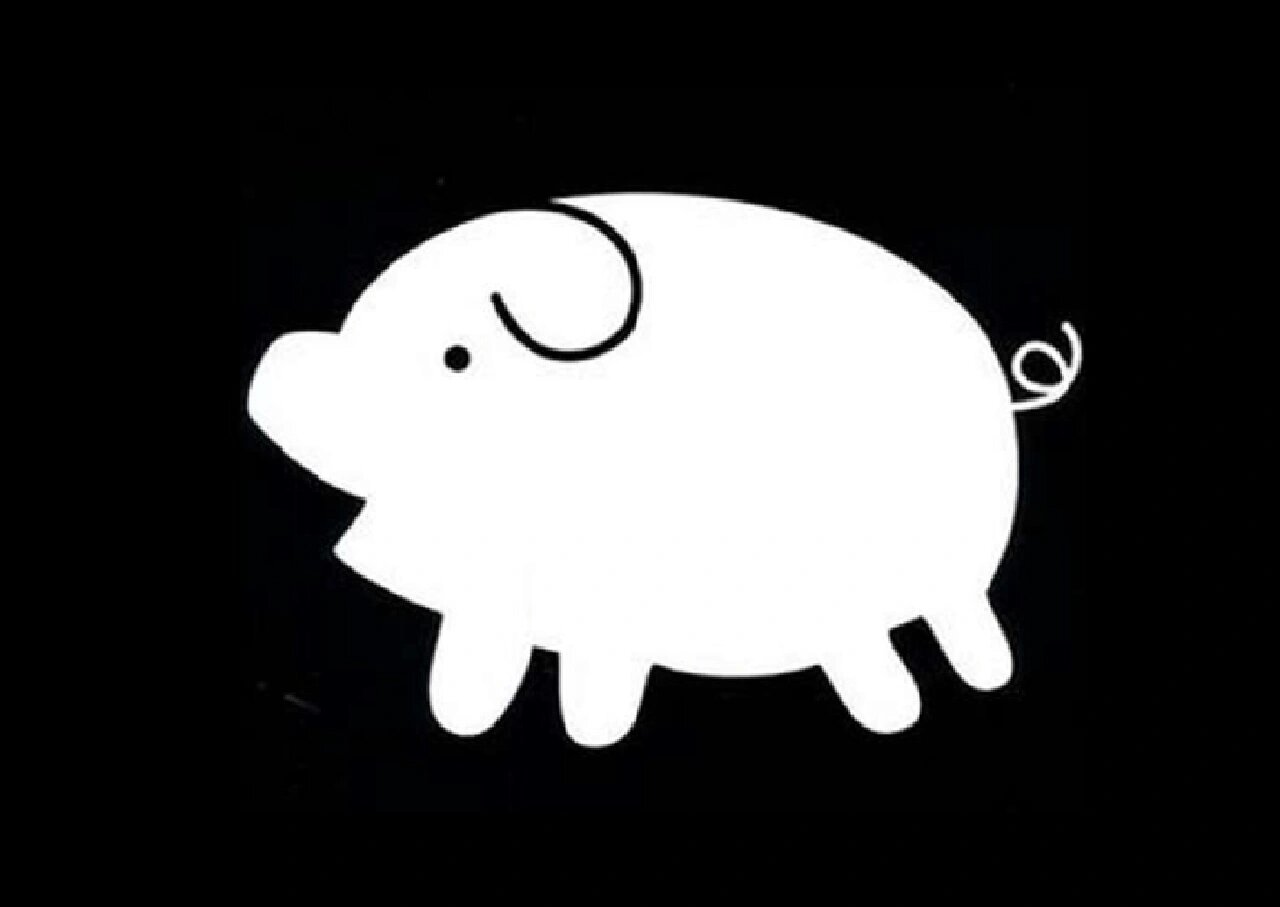 黑白卡——动物篇 网上找了一些图片,不用买黑白卡了,打算直接打印