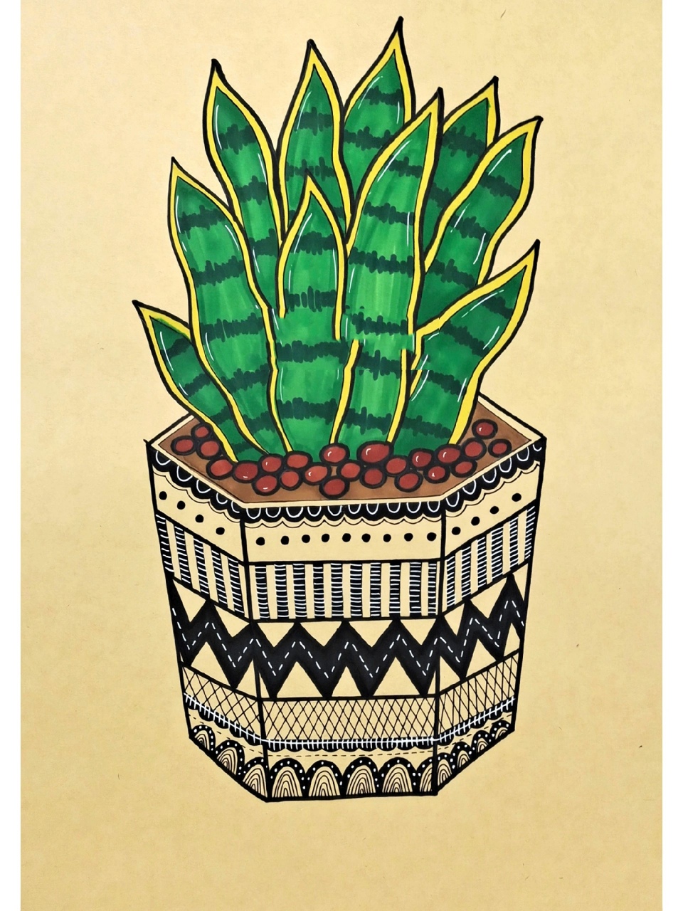 创意线描画96虎皮兰  虎皮兰,1年级适用