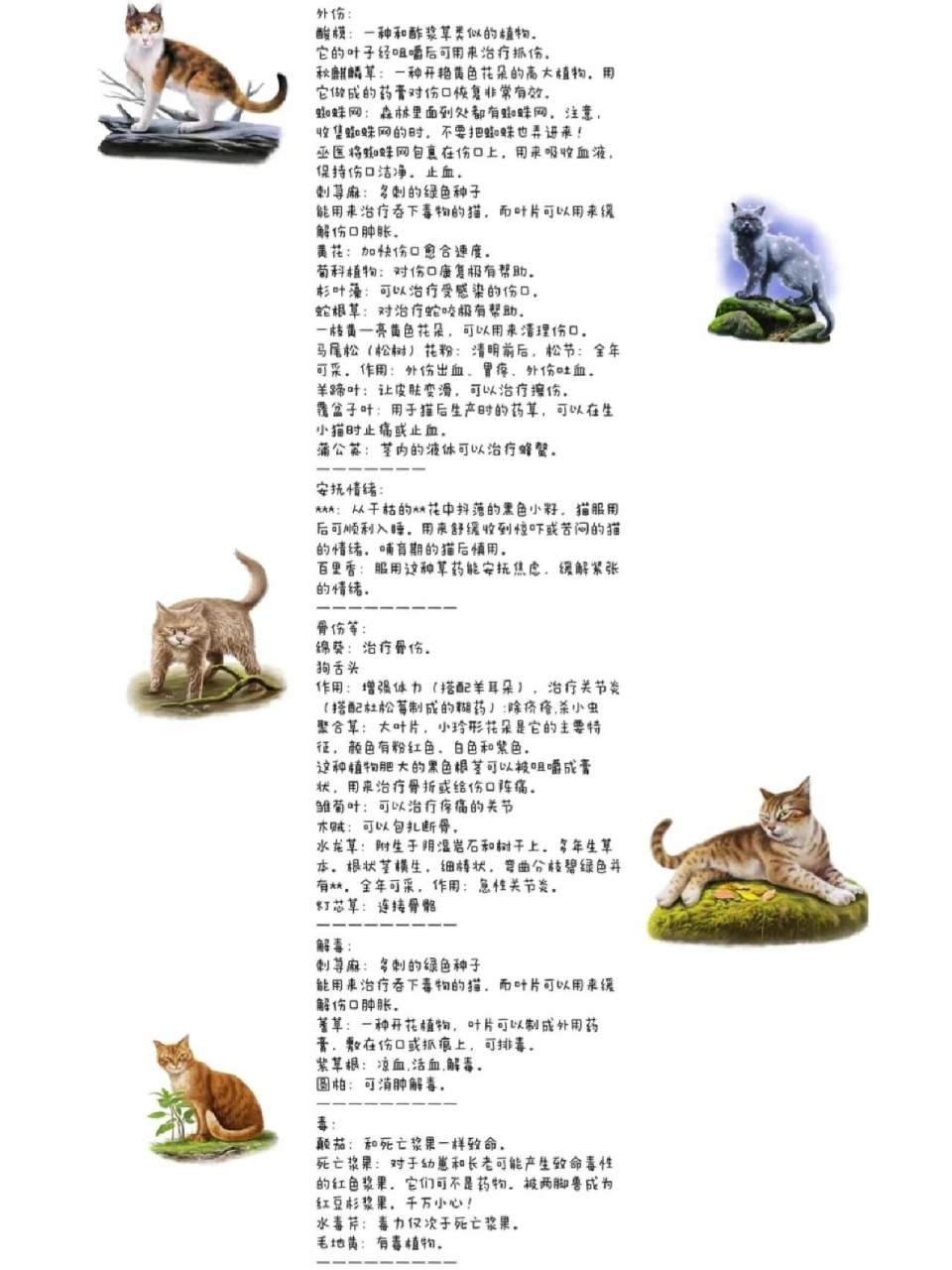 猫武士草药表 猫武士草药表,可抱图,不是原创