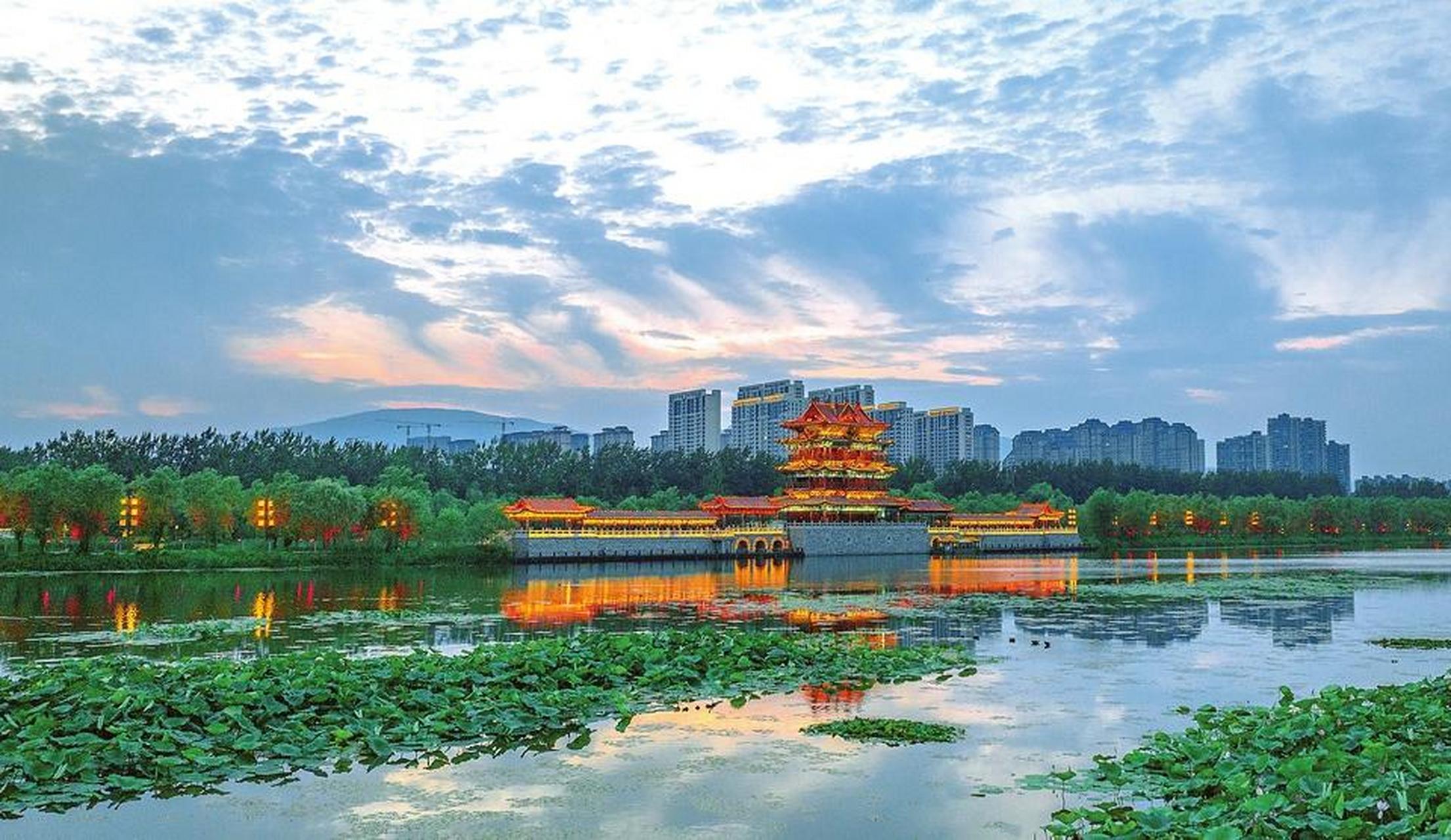 市汾河文化生态景区,萱楼华灯初上,荷花竞相绽放,呈现出诗意般的美景