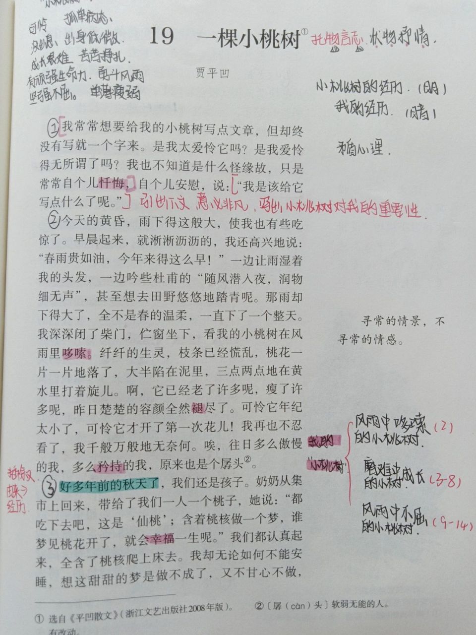 一棵小桃树课堂笔记图片