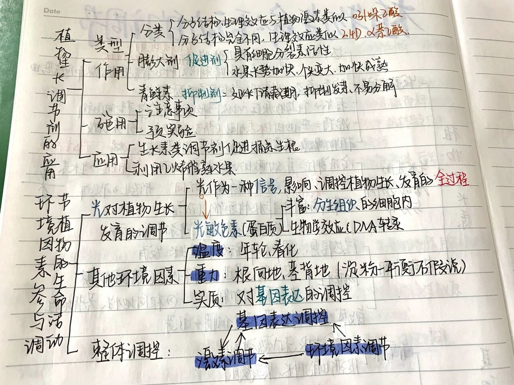 生物选修一第四,五章思维导图   第四章免疫调节:免疫系统的组成和
