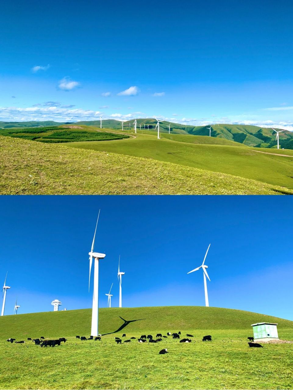 个人觉得红松洼是塞罕坝最值得去的地方了 	 很多攻略都说红松洼值得