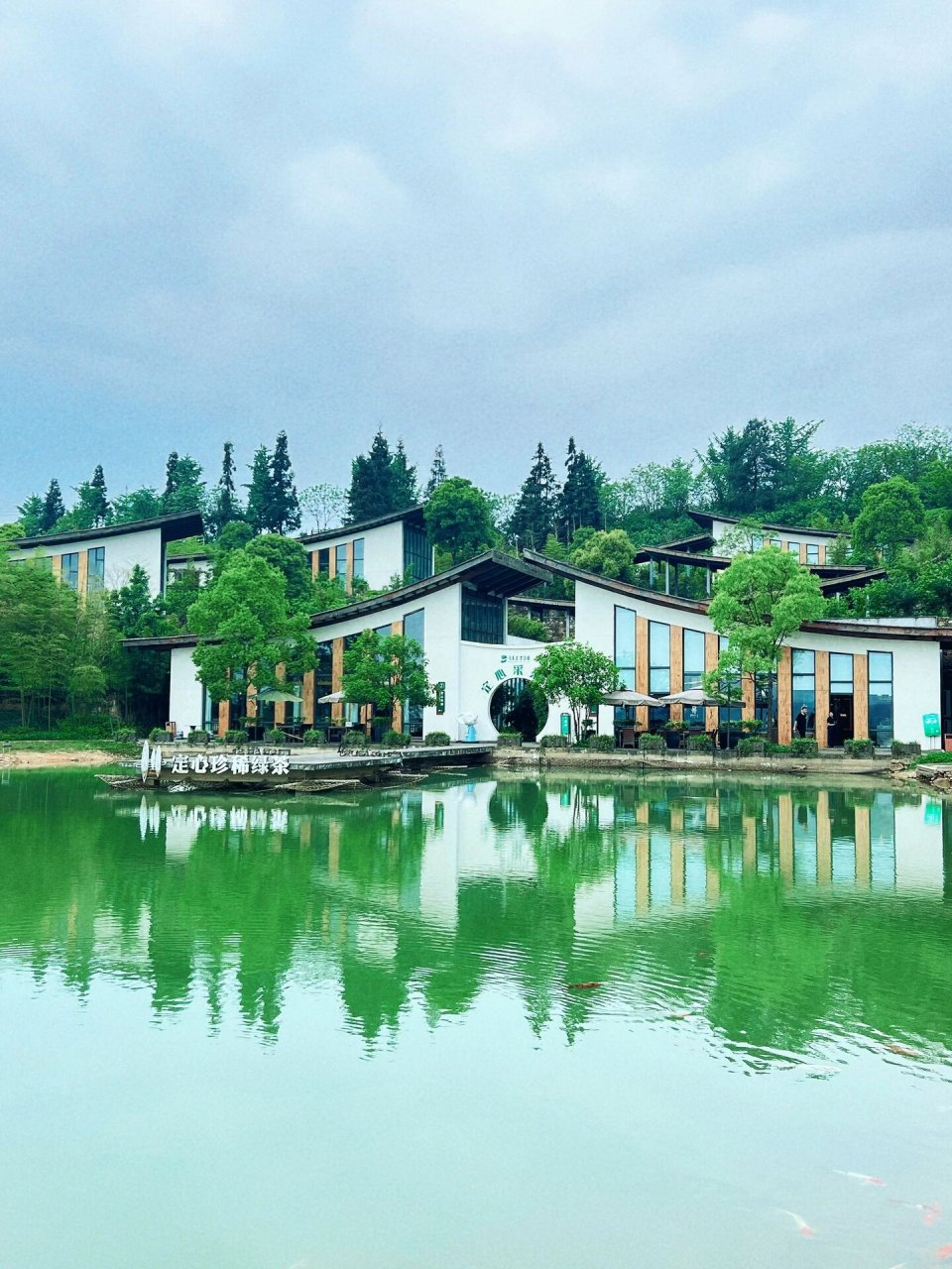 定心茶园 地址92:重庆巴南区定心茶园 	 交通08:貌似只能自驾