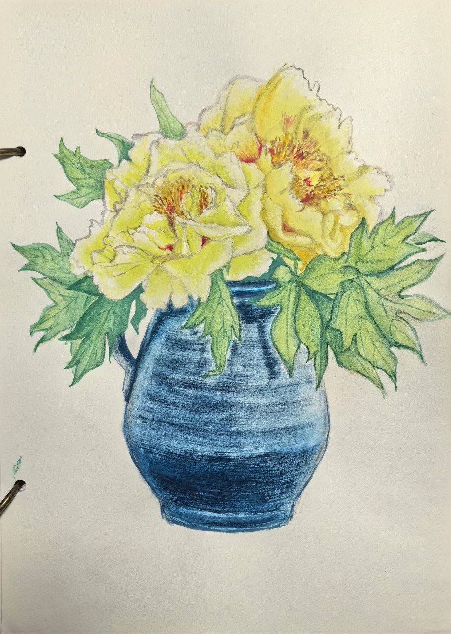 自学画画 水彩花卉临摹