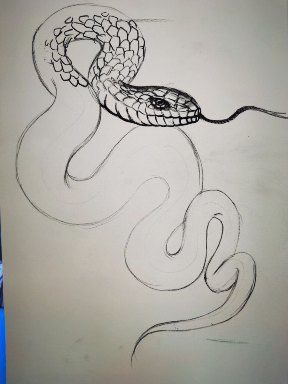 蛇 素描 速写 创意美术 绘画 画画 手绘动漫