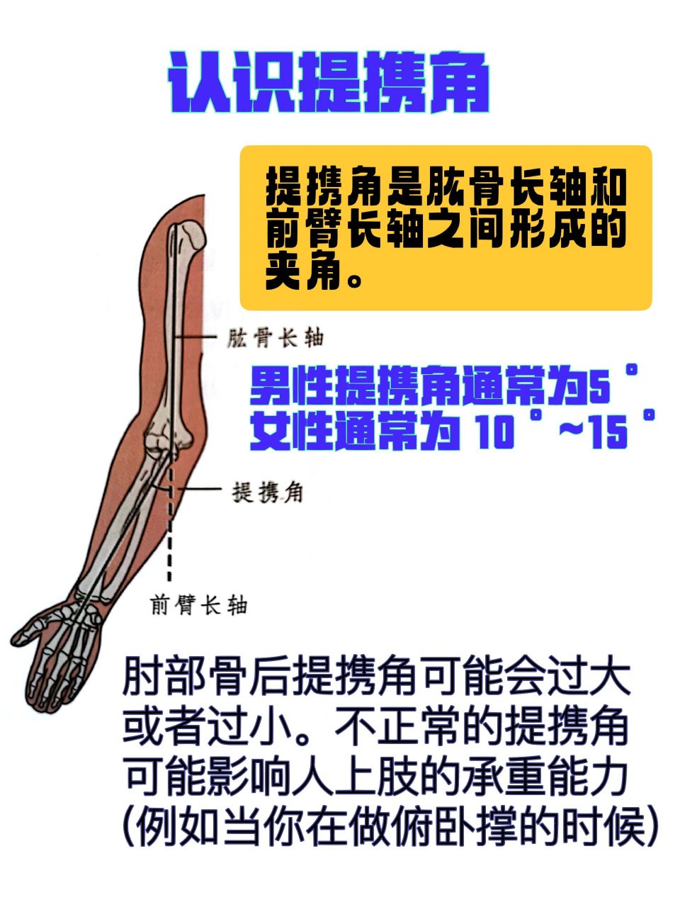 瑜伽体态评估必备理论|认识提携角及度数
