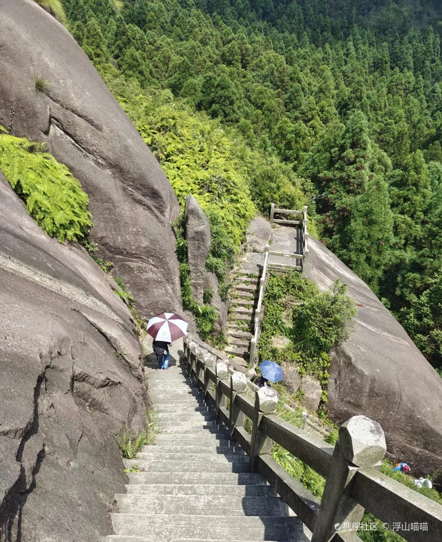 玉苍山|打卡苍南玉苍山森林公园