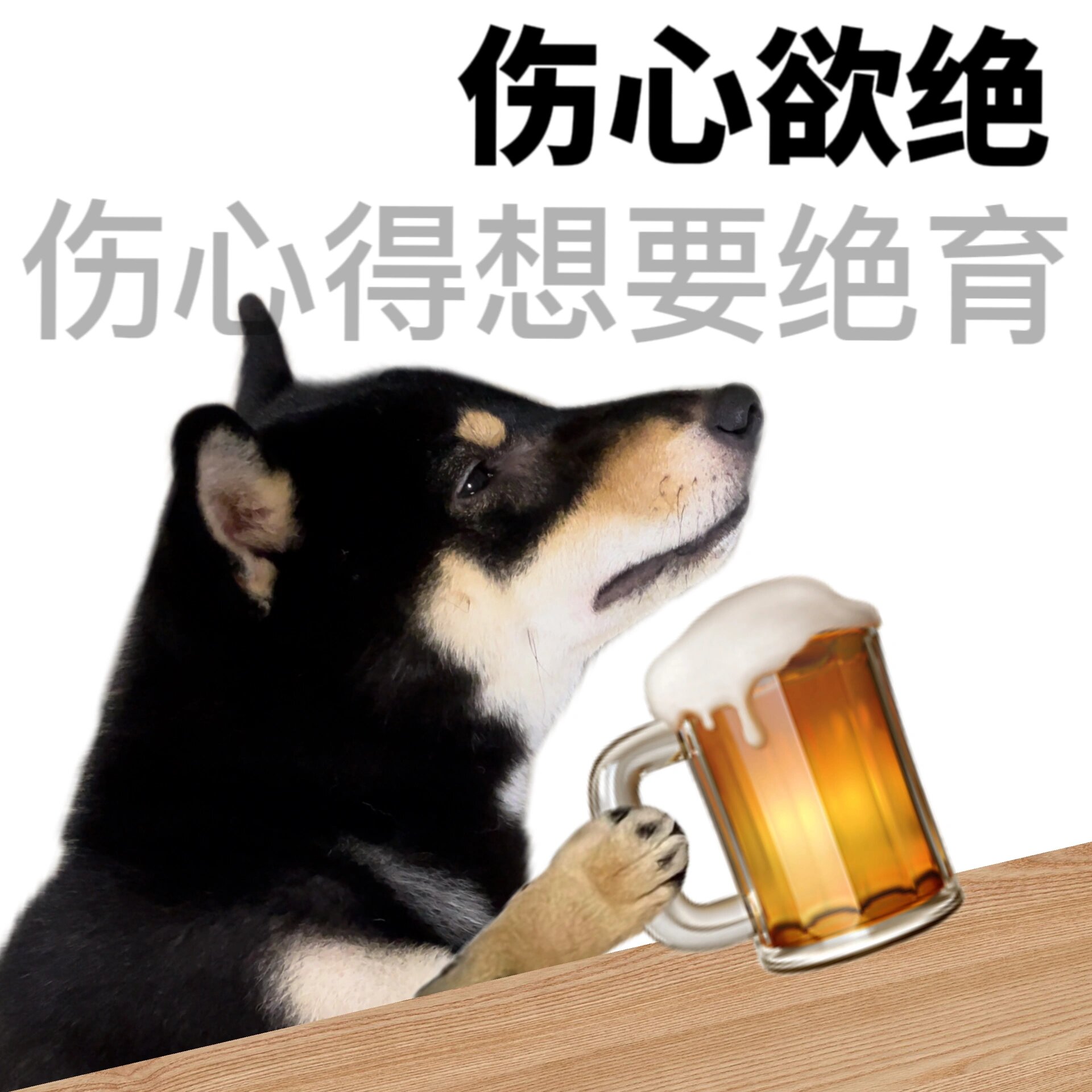表情包|真的伤心欲绝了