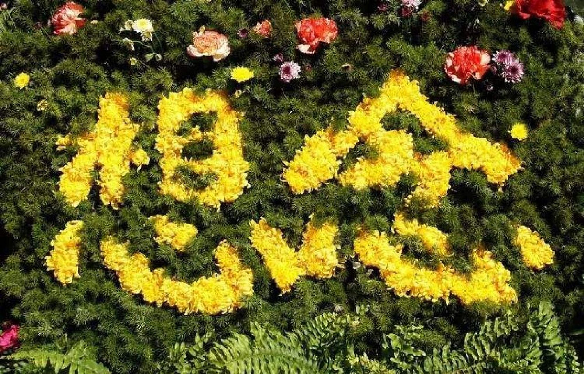 寄往天堂的思念 宸儿春节将至,妈妈特别特别的想你.你知道吗儿子?