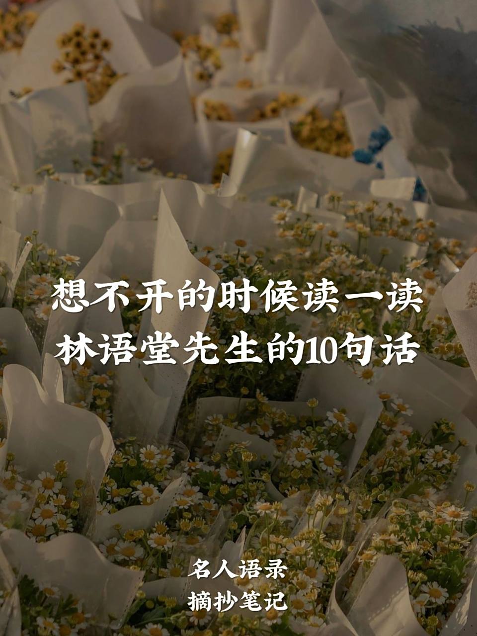 摘抄笔记|民国大师林语堂先生十大经典语录 林语堂(1895.10.10-1976.