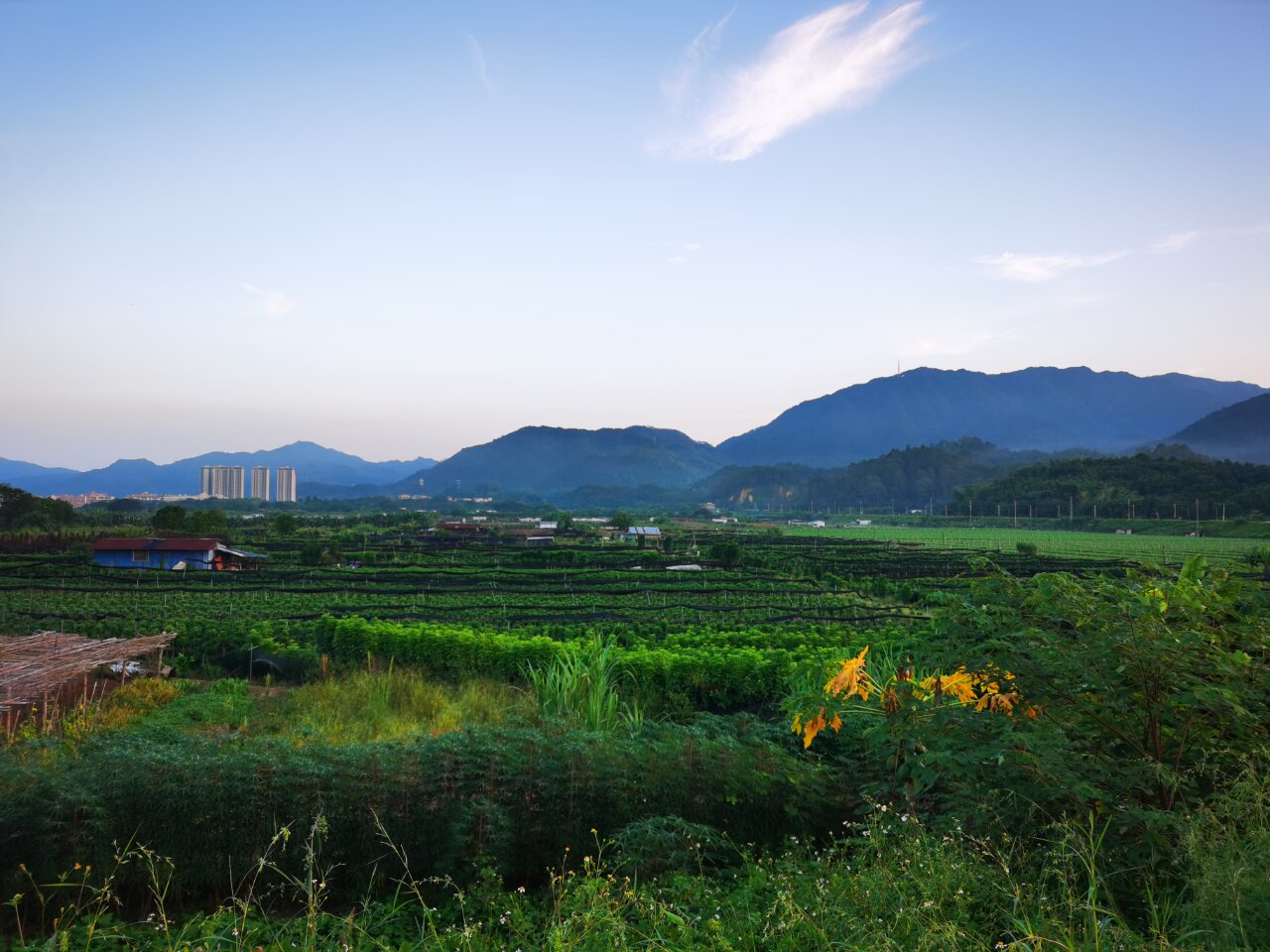 肇庆四会六祖寺