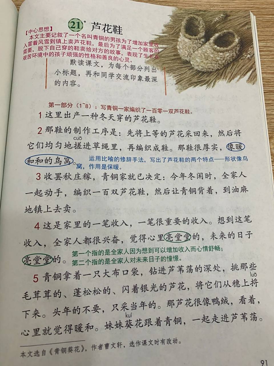 四年级下册语文《芦花鞋》 第21课课堂笔记