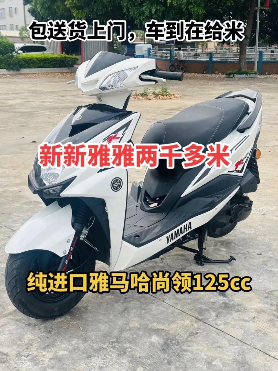 纯进口雅马哈尚领踏板车125  高配版98成新 发动机沉静有力 省油耐用