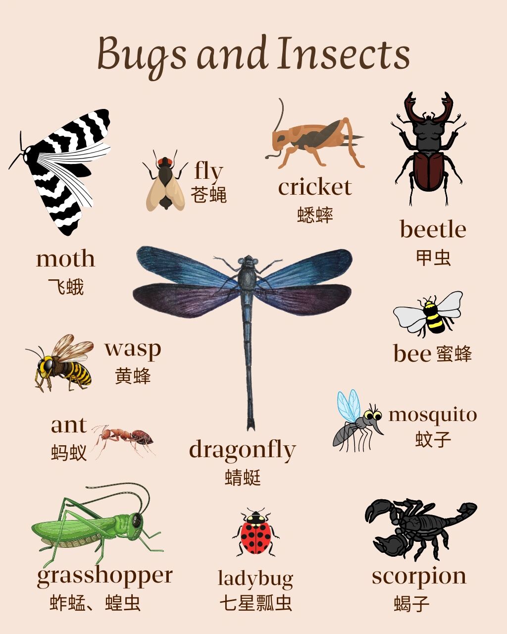 在家学英语