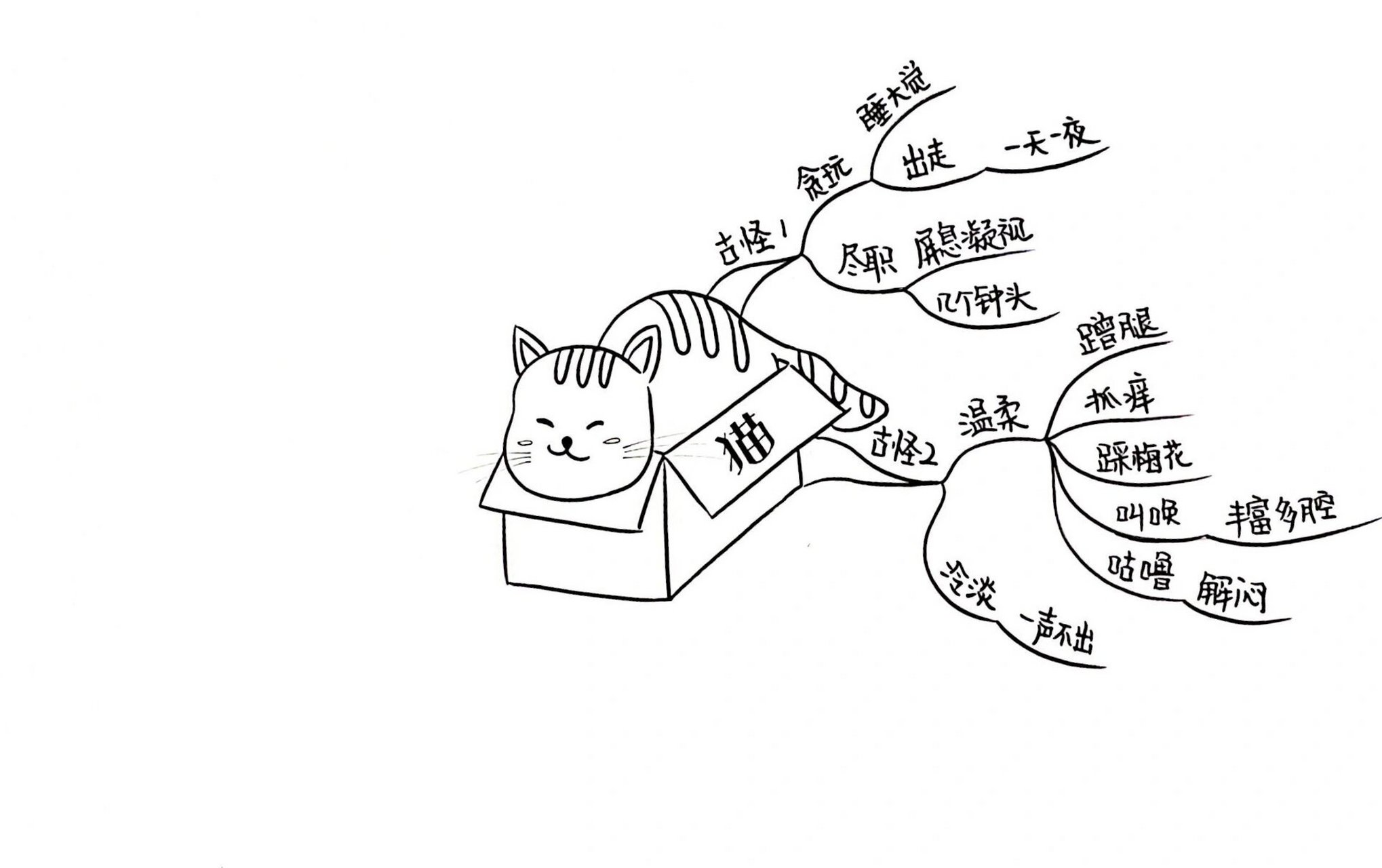 小猫思维导图简单画法图片