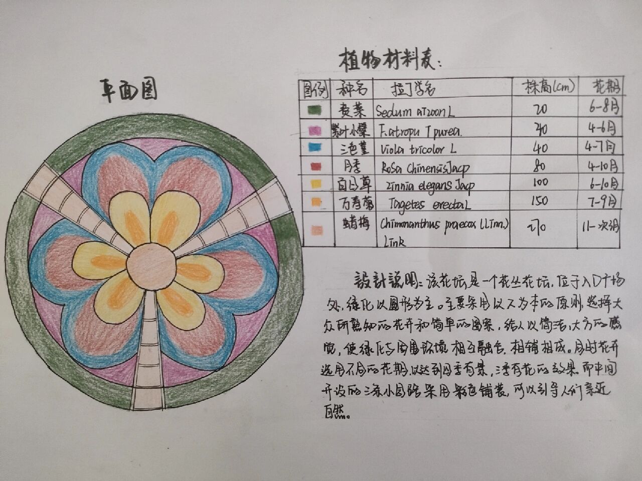 设计的是盛花花坛 花境位于小游园园路旁,宽3m,长10米 可看设计说明