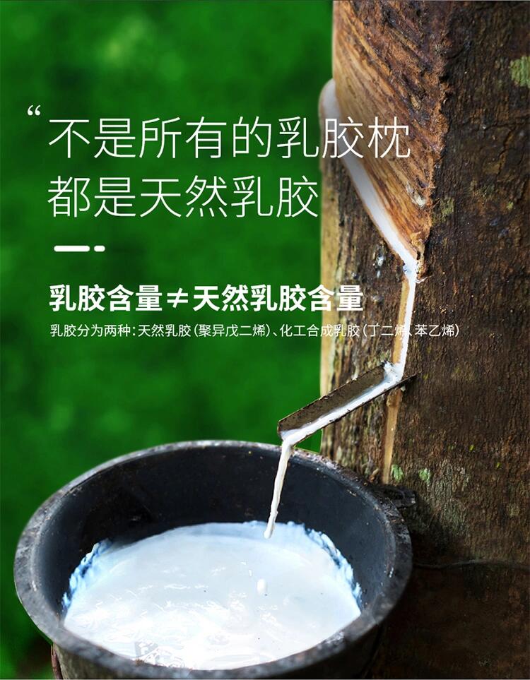 全世界乳胶枕都在用的工艺