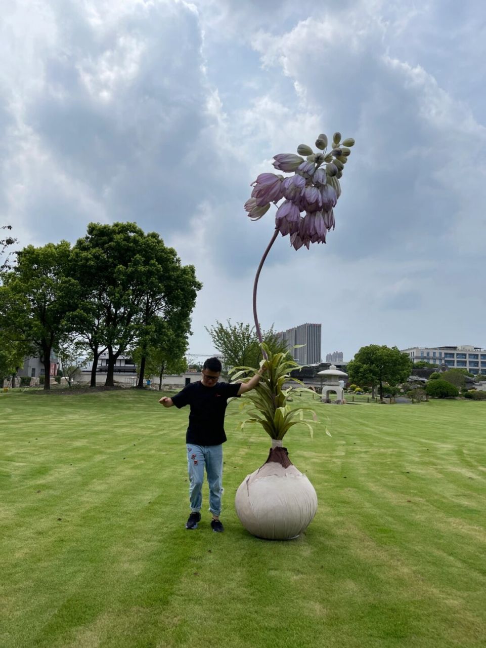 低调|优雅de巨型纸花:斗篷贝母6015 #阿南纸艺# 最新原创 巨型