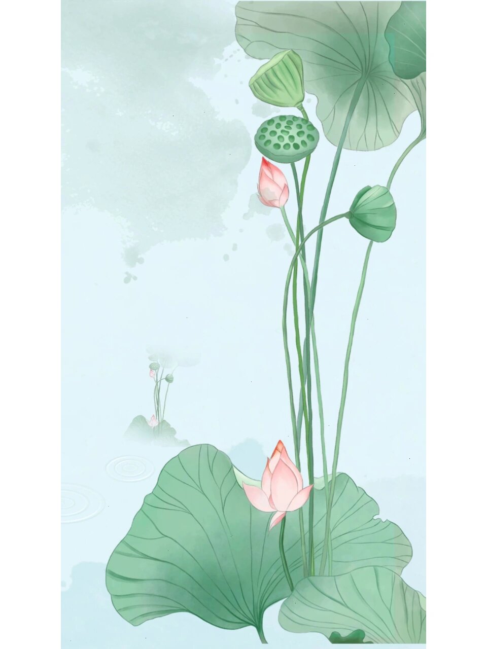 清凉夏季| 唯美荷花主题背景素材